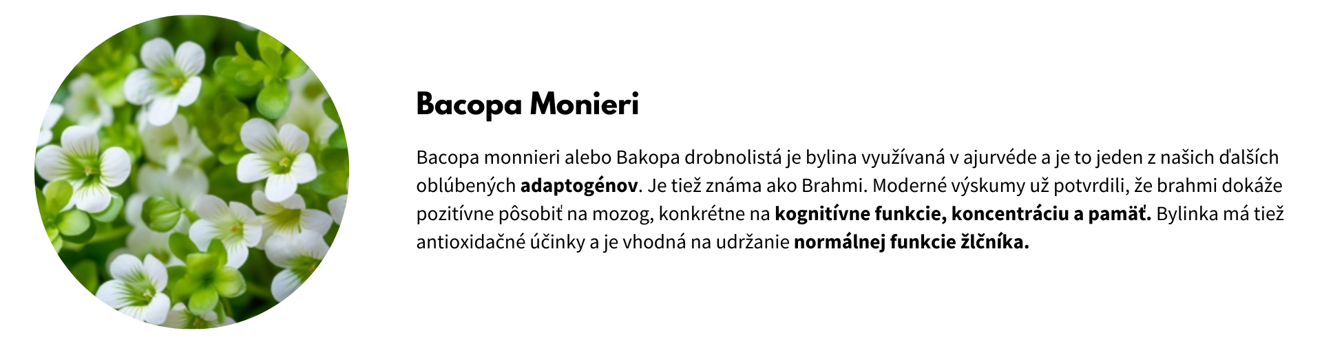 extrakty (4)